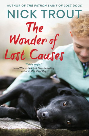 Cover art for Wonder of Lost Causes