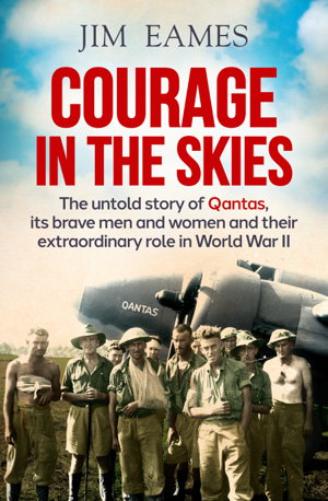 Cover art for Courage in the Skies