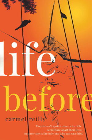 Cover art for Life Before