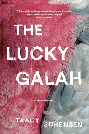Cover art for The Lucky Galah