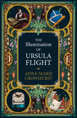 Cover art for The Illumination of Ursula Flight