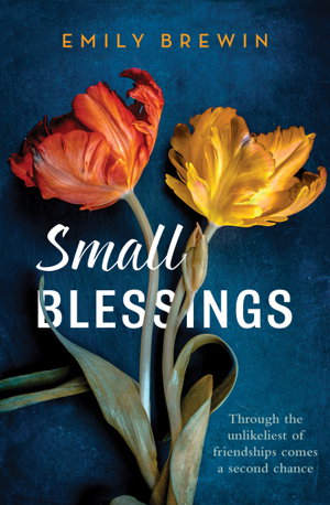 Cover art for Small Blessings Through the Unlikeliest of Friendships Comesa Second Chance