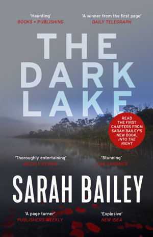 Cover art for The Dark Lake