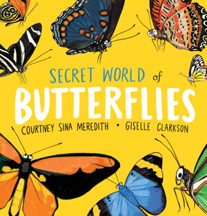 Cover art for Secret World of Butterflies
