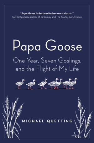Cover art for Papa Goose