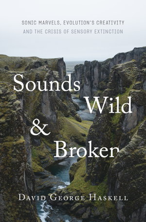 Cover art for Sounds Wild and Broken