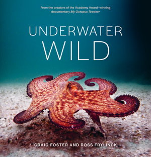 Cover art for Underwater Wild