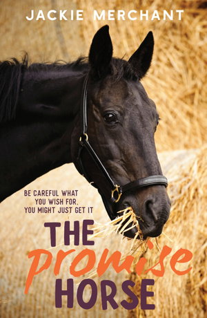 Cover art for Promise Horse