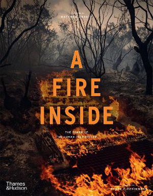 Cover art for A Fire Inside