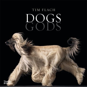 Cover art for Dogs Gods