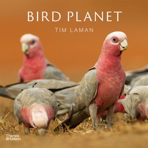 Cover art for Bird Planet