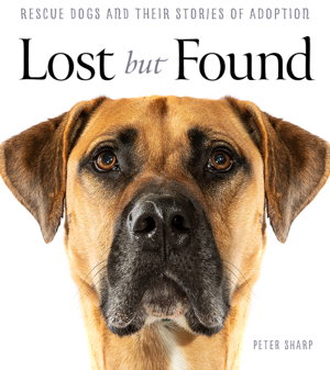 Cover art for Lost But Found