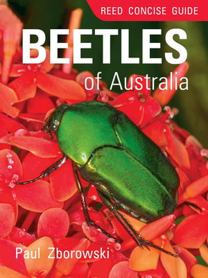 Cover art for Reed Concise Guide to Beetles of Australia