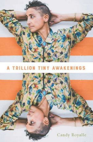Cover art for A Trillion Tiny Awakenings