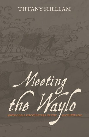 Cover art for Meeting the Waylo