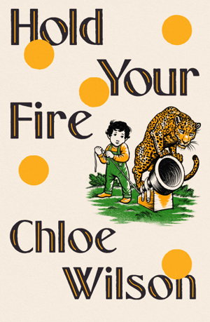 Cover art for Hold Your Fire