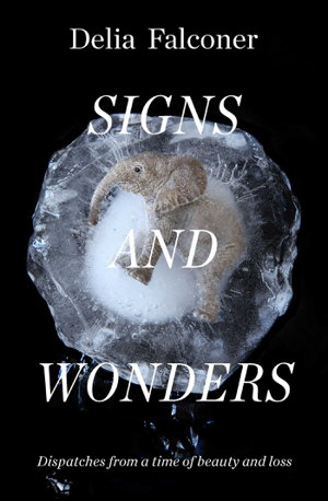 Cover art for Signs and Wonders