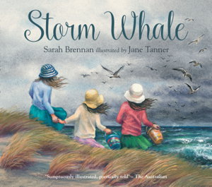 Cover art for Storm Whale