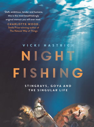 Cover art for Night Fishing