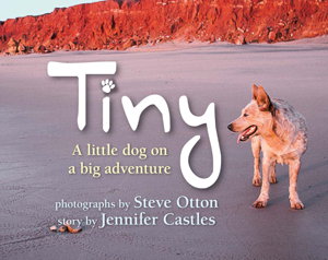 Cover art for Tiny