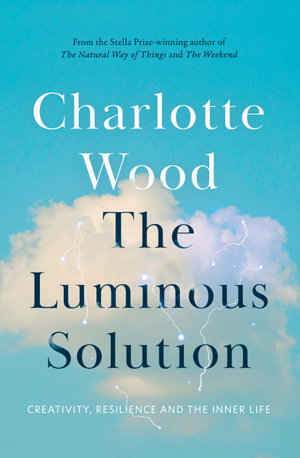 Cover art for The Luminous Solution