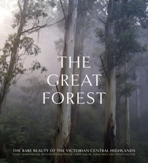 Cover art for The Great Forest