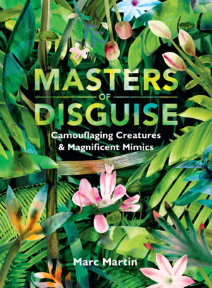 Cover art for Masters of Disguise