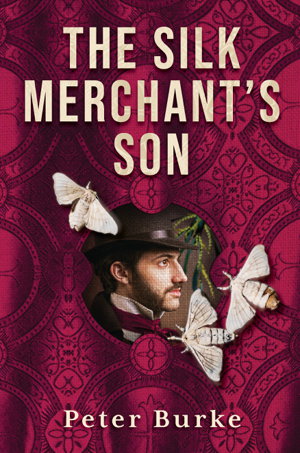 Cover art for The Silk Merchant's Son