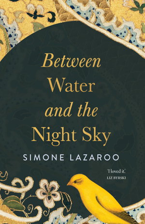 Cover art for Between Water and the Night Sky