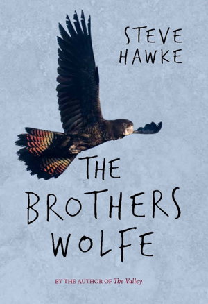 Cover art for The Brothers Wolfe