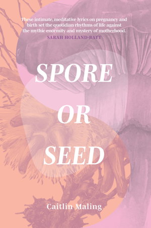 Cover art for Spore or Seed