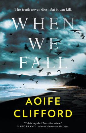 Cover art for When We Fall