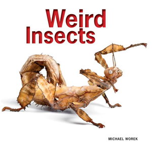 Cover art for Weird Insects