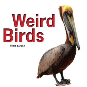 Cover art for Weird Birds
