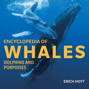 Cover art for Encyclopedia of Whales, Dolphins and Porpoises