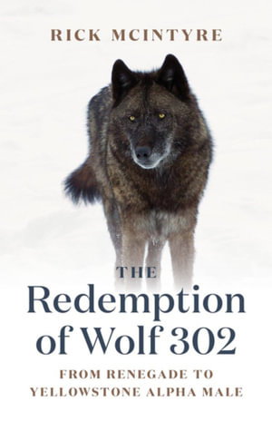 Cover art for The Redemption of Wolf 302