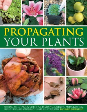 Cover art for Propagating Your Plants