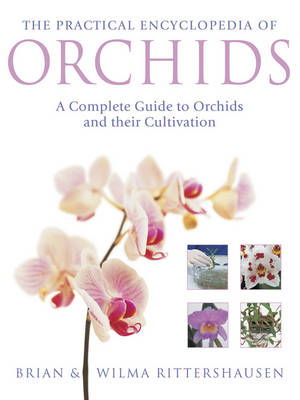 Cover art for Practical Encyclopedia of Orchids