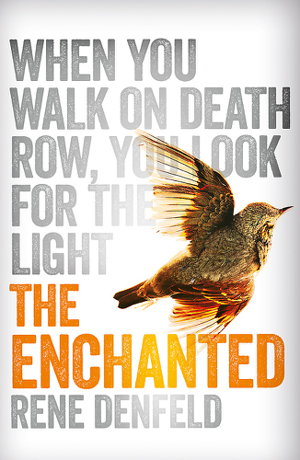 Cover art for The Enchanted