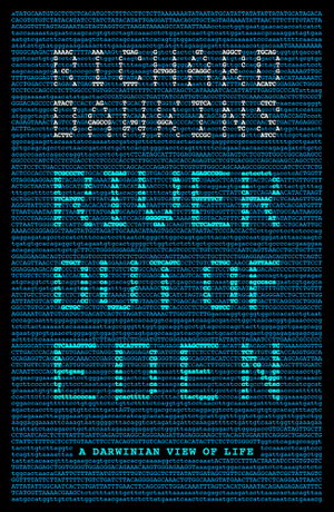Cover art for River Out Of Eden