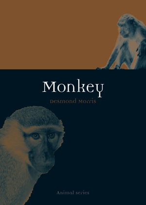 Cover art for Monkey