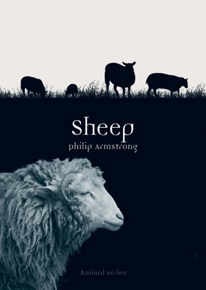 Cover art for Sheep