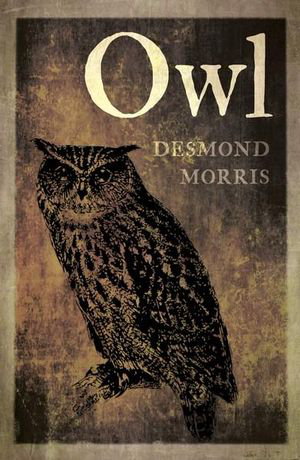 Cover art for Owl