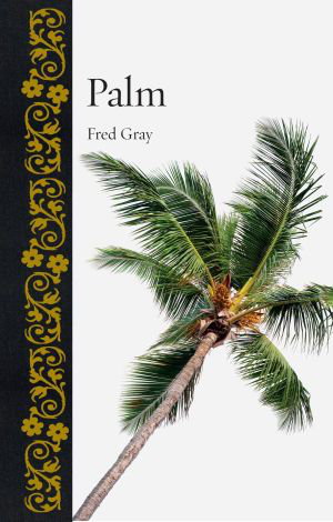 Cover art for Palm