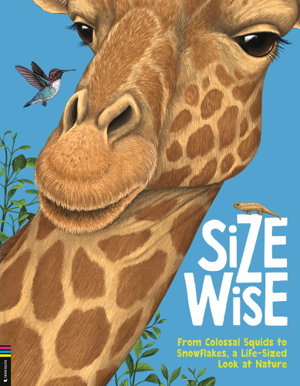 Cover art for Size Wise
