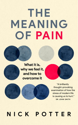 Cover art for The Meaning of Pain