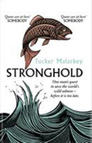 Cover art for Stronghold