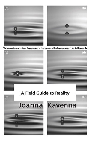Cover art for A Field Guide to Reality