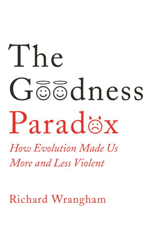 Cover art for The Goodness Paradox