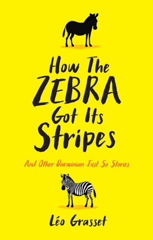 Cover art for How the Zebra Got its Stripes